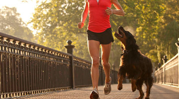 5 Tips For Running With Your Dog