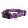 Purple Stars Dog Collar
