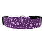 Purple Stars Dog Collar