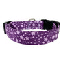Purple Stars Dog Collar