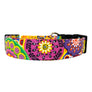 Amara Dog Collar