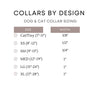 Phoenix Dog Collar