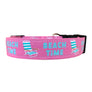 Beach Time Dog Collar