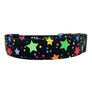 Benny Dog Collar