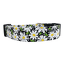 Black Daisy Dog Collar