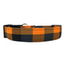 The Griffin Dog Collar