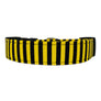 Black and Yellow Stripe Dog Collar