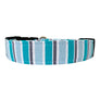 The Aspen Dog Collar
