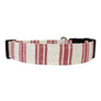 Buddy Dog Collar