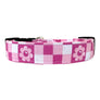 The Calypso in Pink Dog Collar