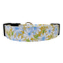 Daisies in Yellow Dog Collar