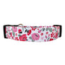 Forget-Me-Not Dog Collar