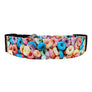 The Fruity Loops Dog Collar