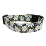 Black Daisy Dog Collar