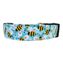 Queen Bee Dog Collar