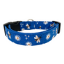 Phoenix Dog Collar