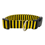 Black and Yellow Stripe Dog Collar