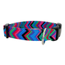 Summer Stripe Dog Collar
