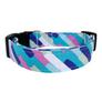 New Wave in Aqua Dog Collar