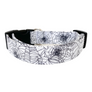The Web Dog Collar