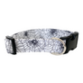 The Web Dog Collar