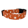 Nova Dog Collar