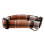 Phoenix Dog Collar