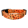 Orange Web Dog Collar