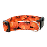 Orange Pumpkins Dog Collar