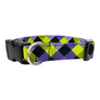 Halloween Plaid Dog Collar