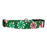 Pinwheels Dog Collar