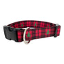 Juniper Dog Collar