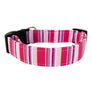 The Smitten Dog Collar