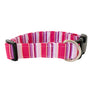 The Smitten Dog Collar