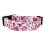 Forget-Me-Not Dog Collar