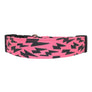 Lightning Bolts in Pink Dog Collar