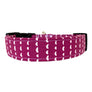 Logan Dog Collar