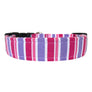 The Luna Dog Collar