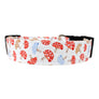 Mushrooms in Red and Blue Dog Collar