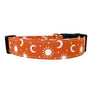 Nova Dog Collar