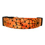 Orange Web Dog Collar
