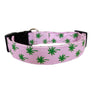 Palm Trees Dog Collar