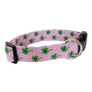 Palm Trees Dog Collar