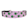 Palm Trees Dog Collar