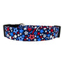 Patriotic Stars Dog Collar