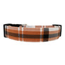 Phoenix Dog Collar