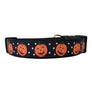 Pumpkin Patch Dog Collar