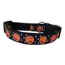 Pumpkin Patch Dog Collar