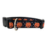 Pumpkin Patch Dog Collar