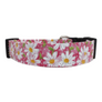 Pink Daisy Dog Collar